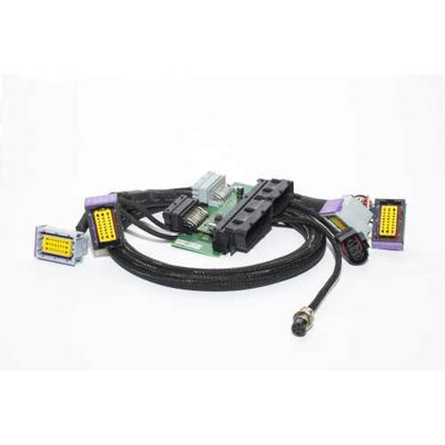 EcuMaster Plugin adapteri R53 MINI COOPER S