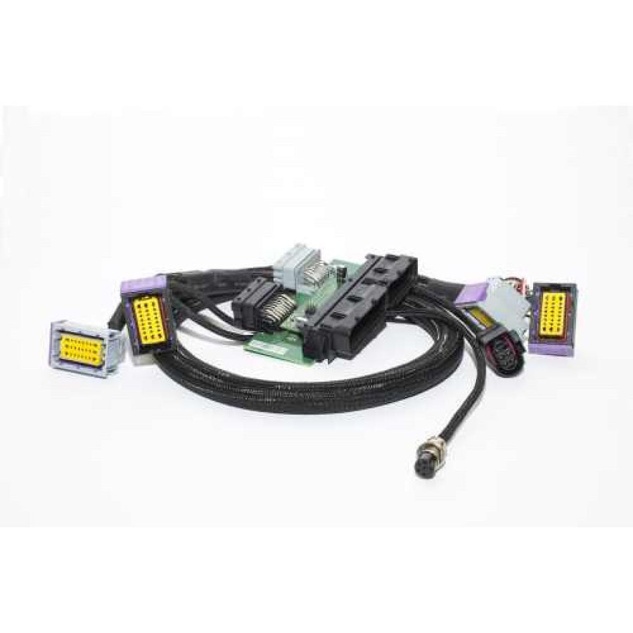 EcuMaster Plugin adapteri R53 MINI COOPER S