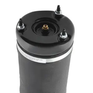 AS-3203113-LC-EU-20240930054126-0.jpg Mercedes R320 R350 R500 R-sarja W251, Airmatic-iskunvaimennin (eteen)