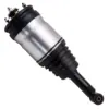 RTD501090-LC-Z2-EU-20240702053832-0001.jpg Range Rover Sport, Land Rover Discovery LR3/LR4 MK3, ilmajousituksen iskunvaimennin (taakse)