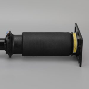 as-3595977c95-lc-z36@002.jpg Airmatic-iskunvaimennin Navistar Prostar 2008–2018 (taakse)