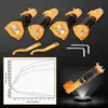 co-gc8-g-lc-vg26.jpg Subaru Impreza GC8 1993-2001, performance Coilover-alustasarja