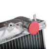 xlarge-Photo20-204-1.jpg Cooling Solutions XL alumiini jäähdytin Nissan Skyline R33 & R34