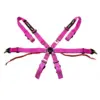 xlarge-51509472e886a7366df23155f5de1178 DriftShop 6-pistevyöt – pinkki – FIA 2026