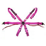 xlarge-51509472e886a7366df23155f5de1178 DriftShop 6-pistevyöt – pinkki – FIA 2026