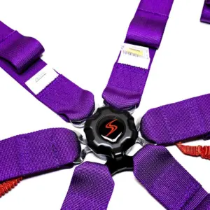 xlarge-5407d65d349138bc93e677ce846c030d DriftShop 6-pistevyöt – violetti – FIA 2026